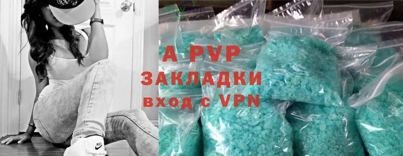 A PVP СК  Шагонар 