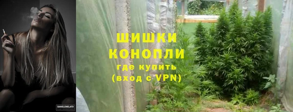PSILOCYBIN Богородск