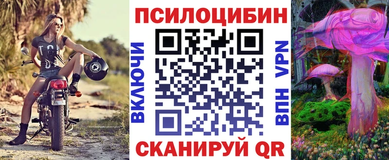 закладки  Шагонар  Псилоцибиновые грибы прущие грибы 