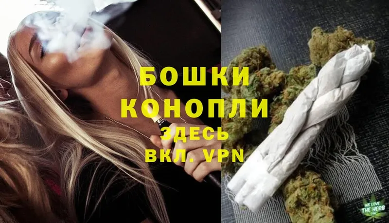 Каннабис OG Kush  Шагонар 